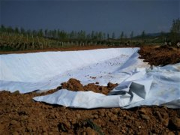 漢中農(nóng)業(yè)蓄水池復(fù)合膜防滲案例